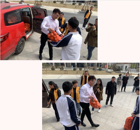 1753154088953253.png 1753154084122.png