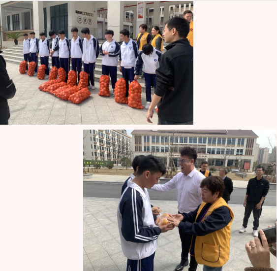 1753154104172296.png 1753154100141.png