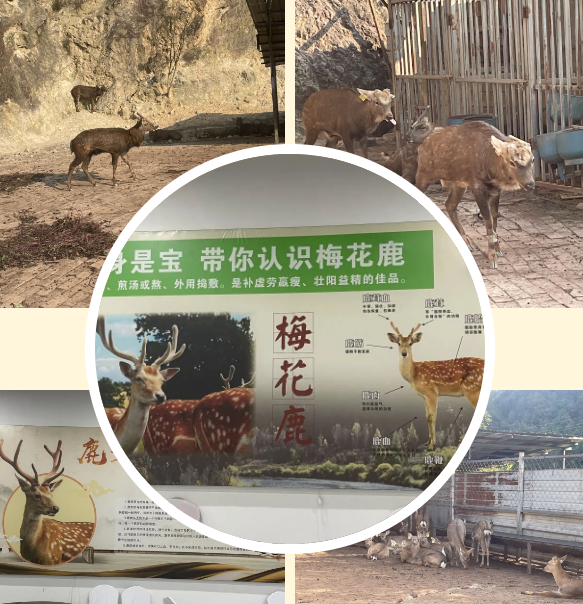 1753323619993949.png 1753323620524.png