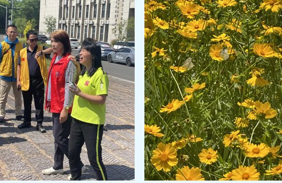 1753335839114607.png 1753335840727.png