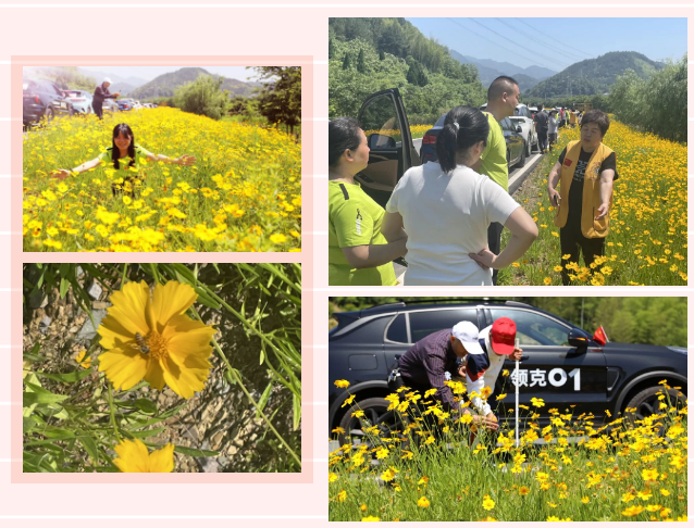 1753335853140006.png 1753335854486.png