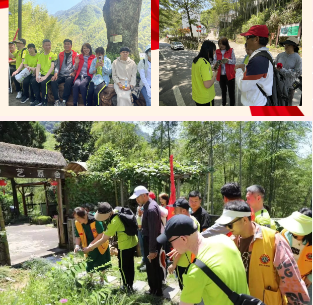 1753335914158675.png 1753335910652.png