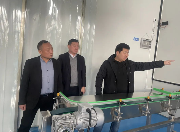 1753413319310246.png 1753413323039.png