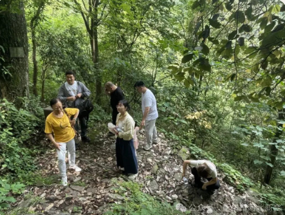 1753425666214591.png 1753425669740.png