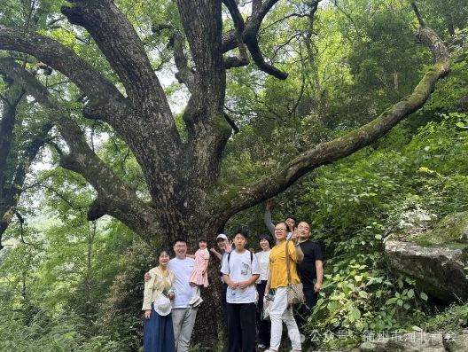 1753425714164233.png 1753425717912.png